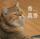 表情包.png