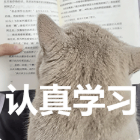 表情包.png